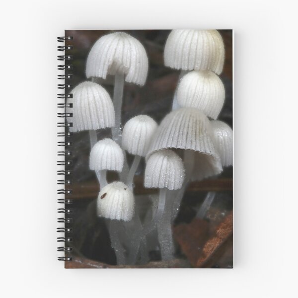 Item preview, Fungi Season 15 designed and sold by Normf.