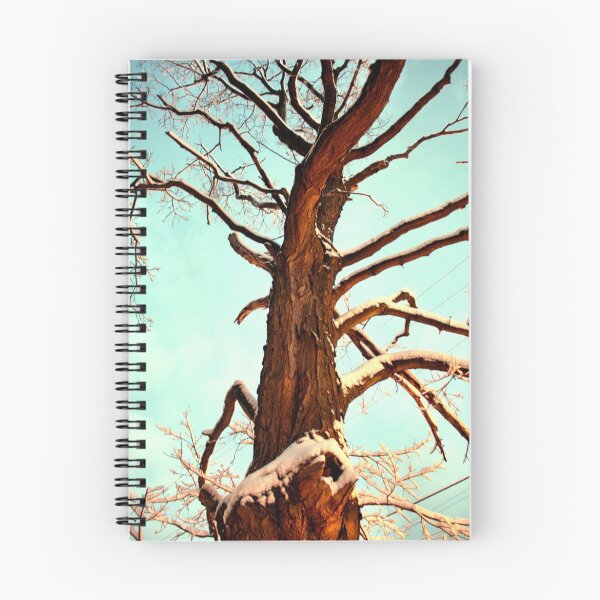 Item preview, Tree in Winter 3 designed and sold by Amy E. McCormick.