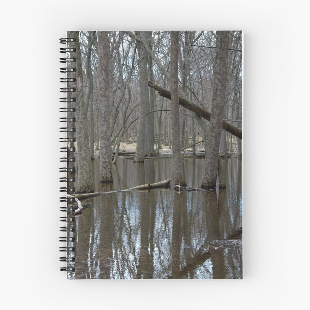 Item preview, Spiral Notebook designed and sold by jarede.