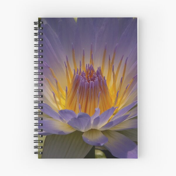 Item preview, Water Lilly designed and sold by Glenn Vaughan.