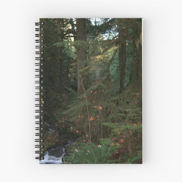 Item preview, "Early Morning Forest" designed and sold by Lynn Bawden.