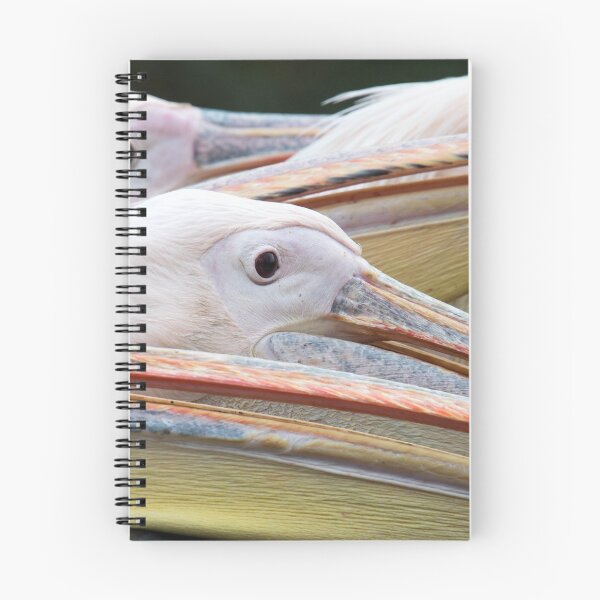 Item preview, Pelicans designed and sold by Mike Higgins.
