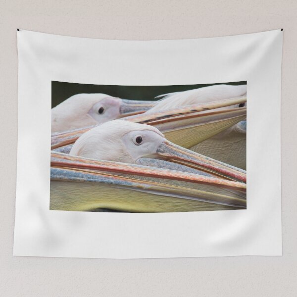 Item preview, Pelicans designed and sold by Mike Higgins.