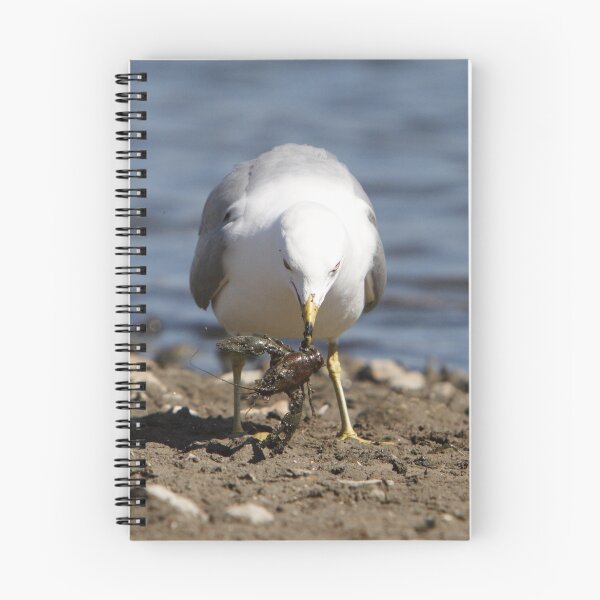 Item preview, Snack With A Grit. designed and sold by DigitallyStill.