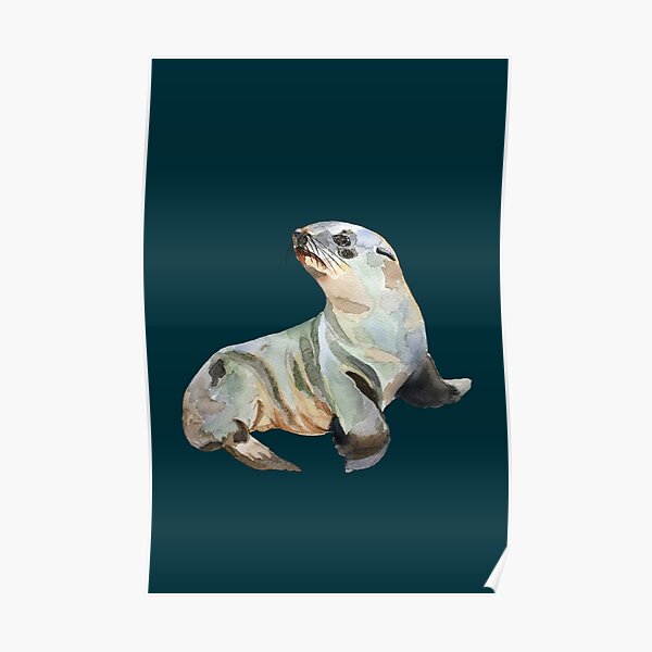 Fur seal Poster