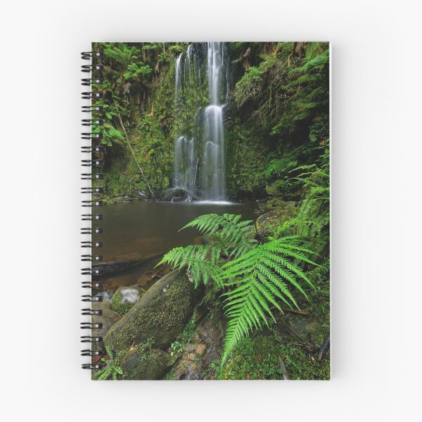 Item preview, Beauchamp Fernery designed and sold by Robert Mullner.