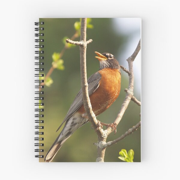 Item preview, Wishful Singing designed and sold by DigitallyStill.
