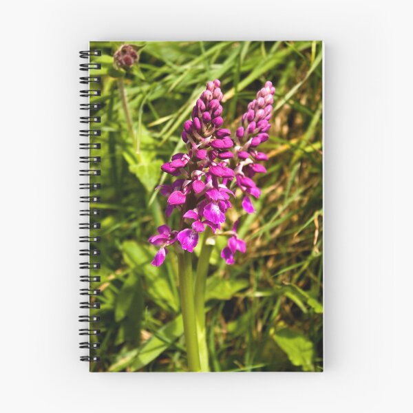 Item preview, Early Purple Orchid designed and sold by Karen Millard.