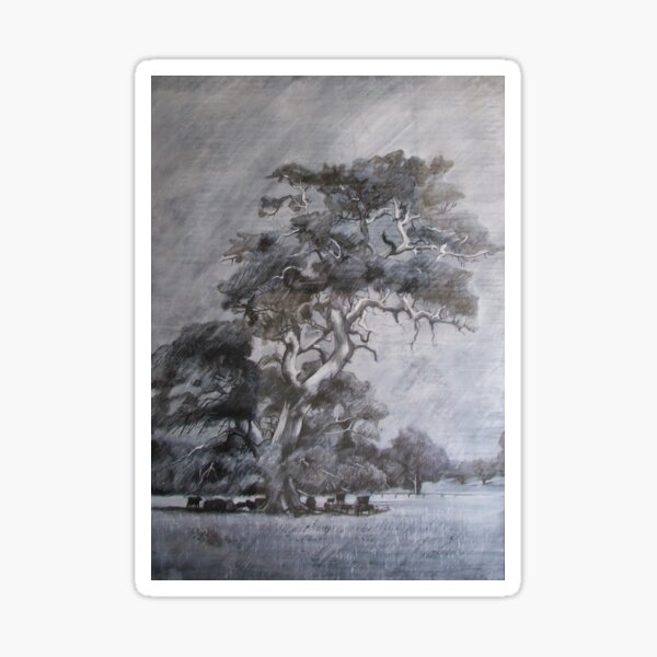 Item preview, My Tree - Drawing by Avril Thomas - Adelaide / South Australia Artist Near Inman Valley South Australia designed and sold by AvrilThomasart.