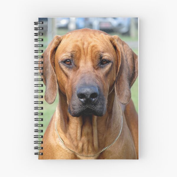 Item preview, Rhodesian Ridgeback designed and sold by Robert Jenner.