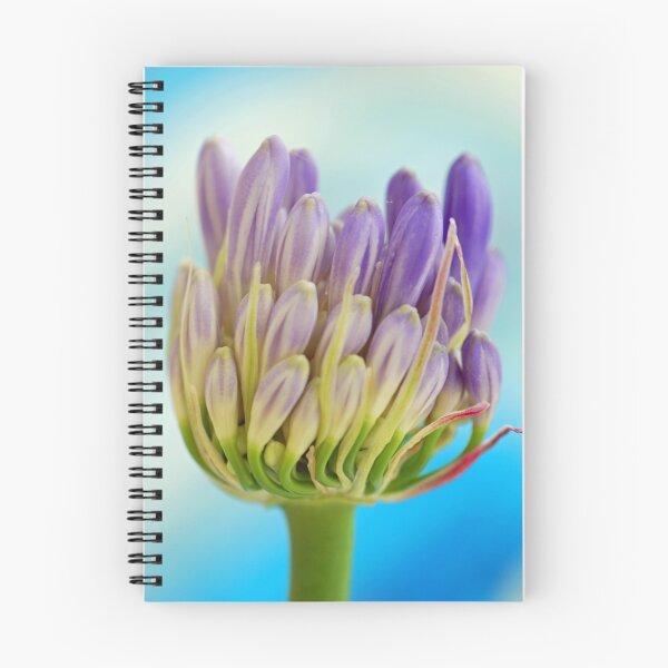 Item preview, Budding designed and sold by Extraordinary Light.