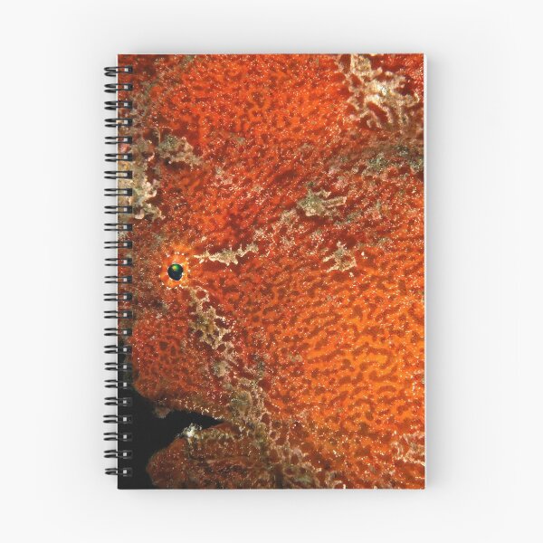Item preview, Giant Frogfish Portrait designed and sold by MattTworkowski.