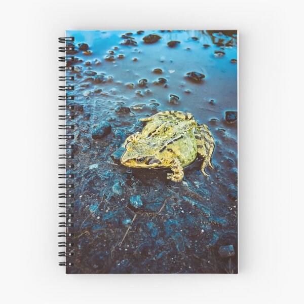 Item preview, Irish Toad | Dundalk, Ireland designed and sold by Phil Stuebe.