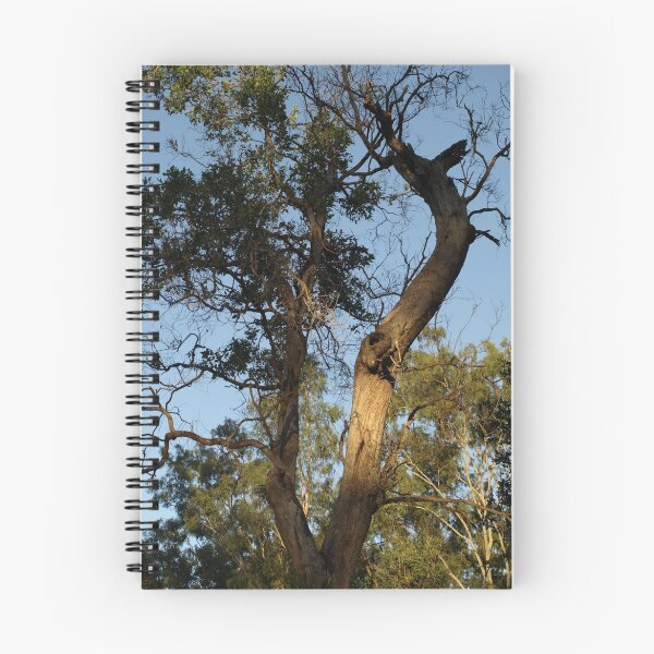 Item preview, REACHING OUT designed and sold by AussieColin.