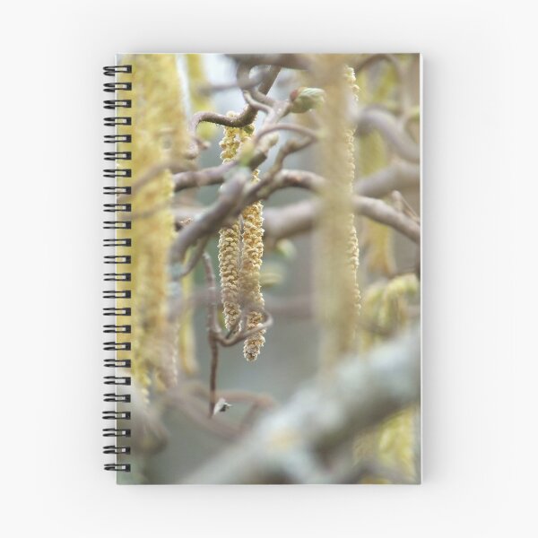 Item preview, Hazelnut in Bloom designed and sold by TriciaDanby.
