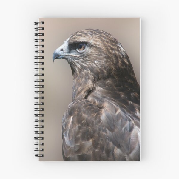 Item preview, hawk designed and sold by jude walton.