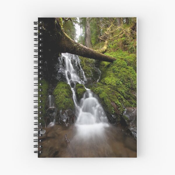 Aperçu de l'œuvre Fern Creek créée et vendue par Ryan Wright.