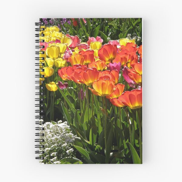 Item preview, Diaphanous Sunshine ~The Tulips Bloom designed and sold by Patty Lewis.