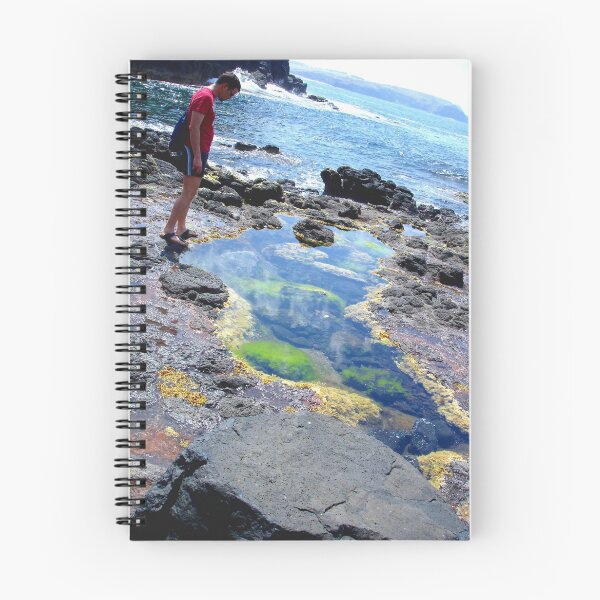 Item preview, rockpool designed and sold by lulu64.