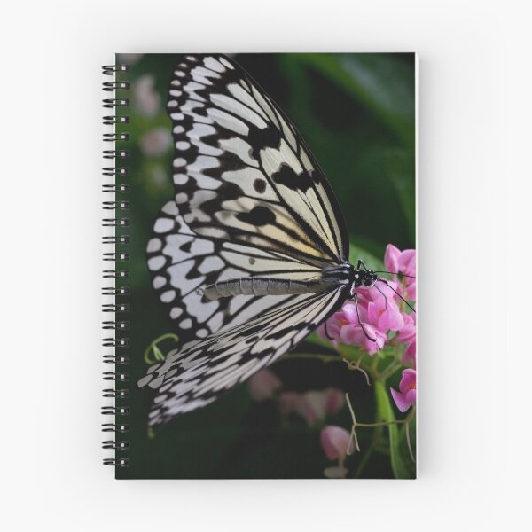 Item preview, Butterfly 2 designed and sold by MiImages.