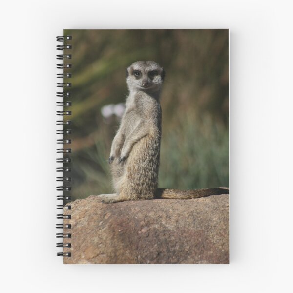 Item preview, Poser designed and sold by Lee Revell.