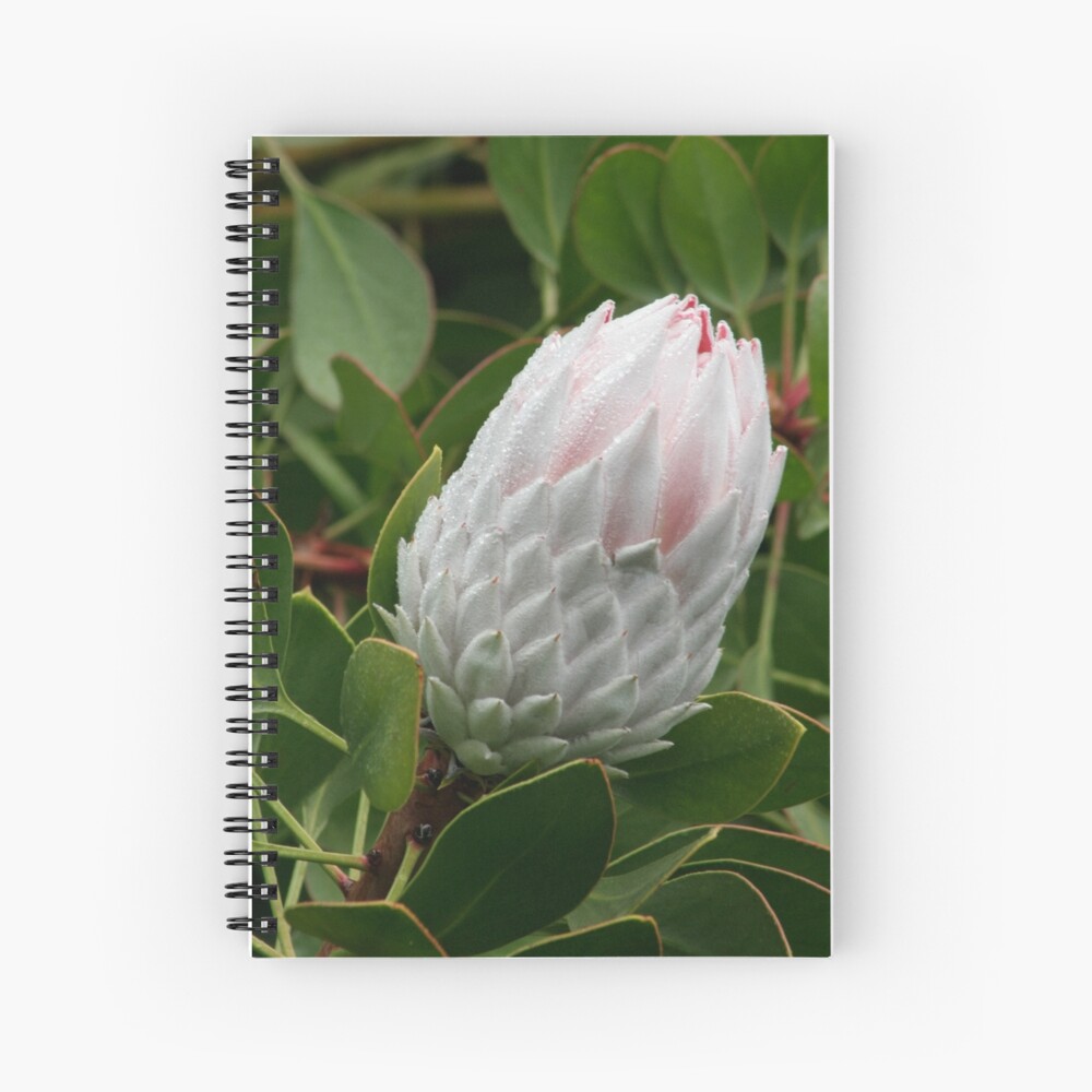 Item preview, Spiral Notebook designed and sold by Kells.