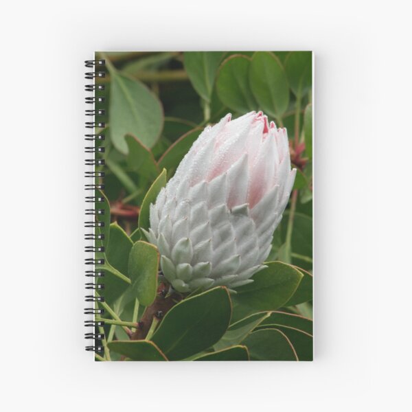 Item preview, Protea beauty designed and sold by Kellea Croft.