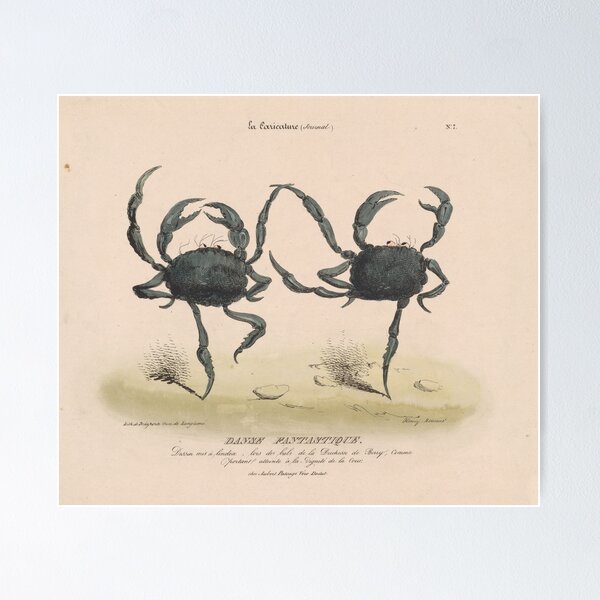 Item preview, Vintage Illustration of Dancing Crabs (1849) designed and sold by BravuraMedia.