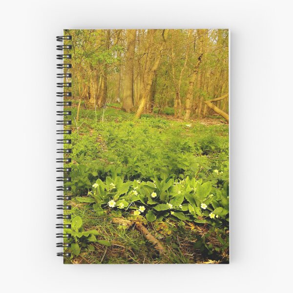 Aperçu de l'œuvre Pound Farm, Suffolk créée et vendue par ANNETTE HAGGER.
