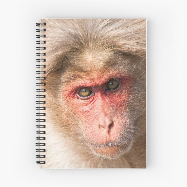 Item preview, Bonnet Macaque Portrait designed and sold by Nickolay Stanev.