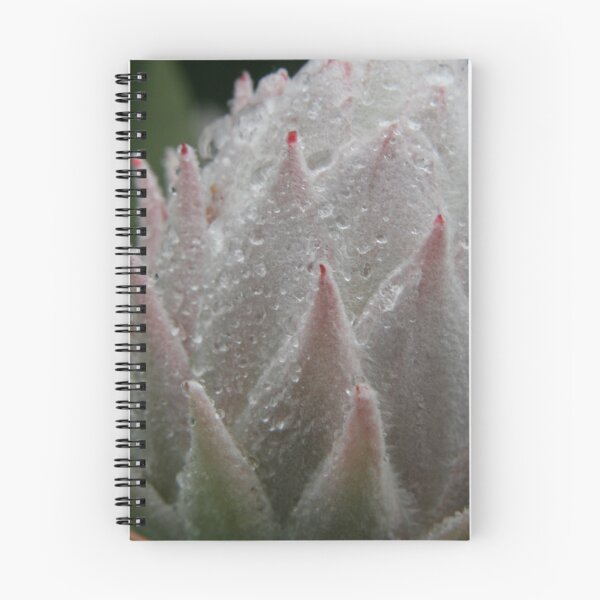 Item preview, Macro Protea Water designed and sold by Kellea Croft.