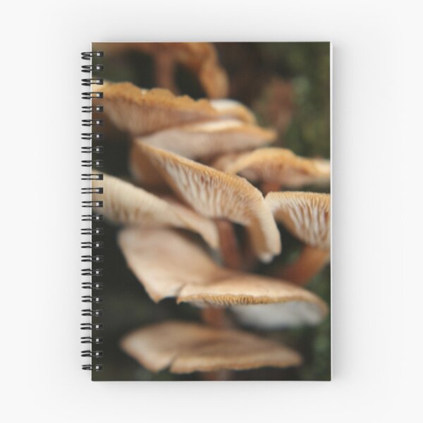 Item preview, Stacked for Time designed and sold by Kellea Croft.