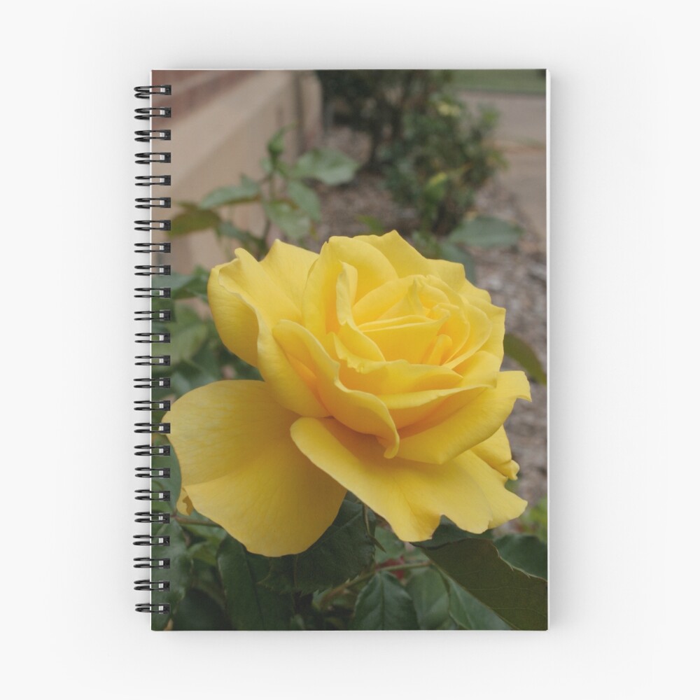 Item preview, Spiral Notebook designed and sold by Kells.