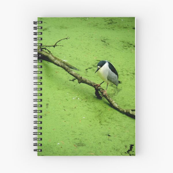 Item preview, Scum and Beauty designed and sold by Wesley Rose.