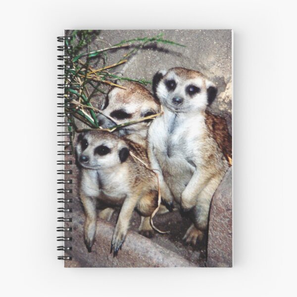 Item preview, Meercat Manners designed and sold by tkrosevear.