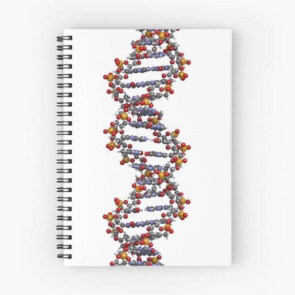 Item preview, DNA structure designed and sold by molekuul.