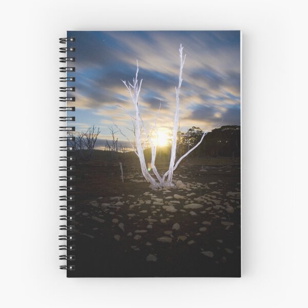 Item preview, Moonrise @ King William designed and sold by Anthony Davey.