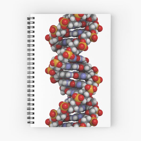Item preview, DNA structure designed and sold by molekuul.