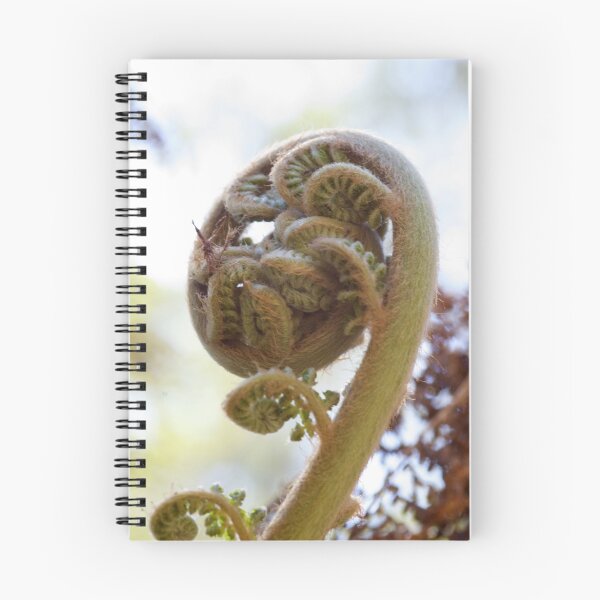 Item preview, Curly fuzzy fern designed and sold by dizzycat.