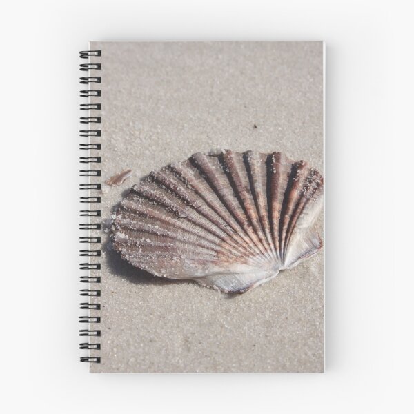 Item preview, Shell designed and sold by Aaron Carr.