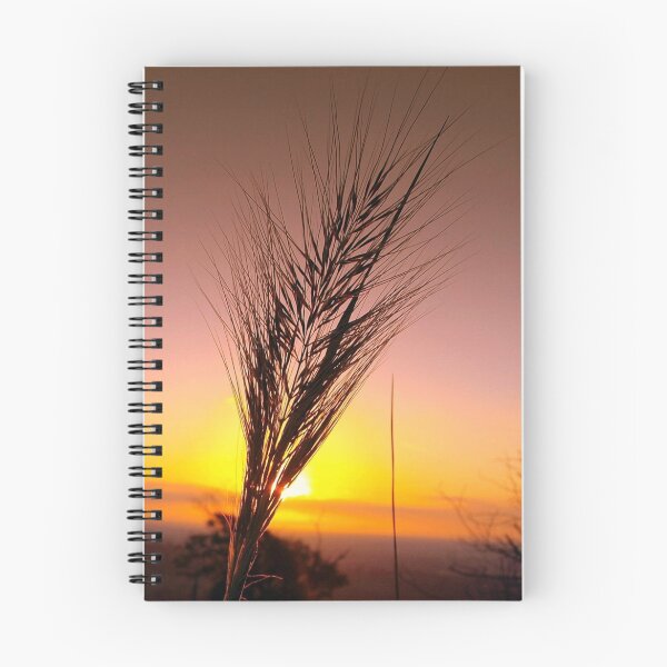 Item preview, Catching the final rays designed and sold by Clive.