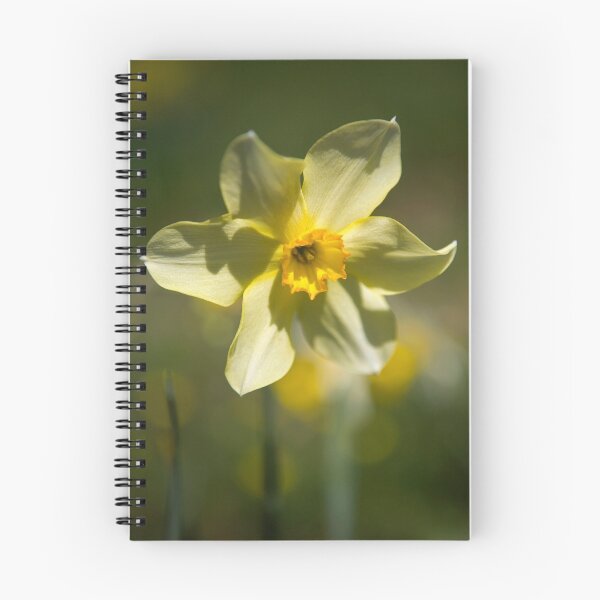 Item preview, Daffodil designed and sold by Victoria Ashman.