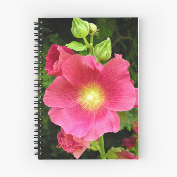 Item preview, A deep pink hollyhock (Alcea Rosea) designed and sold by Philip Mitchell.