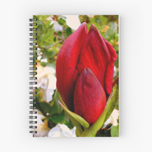Item preview, RED BUDS designed and sold by artist4peace.