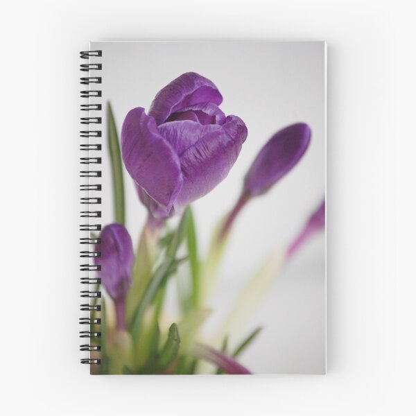 Item preview, Crocus designed and sold by VikaRayu.