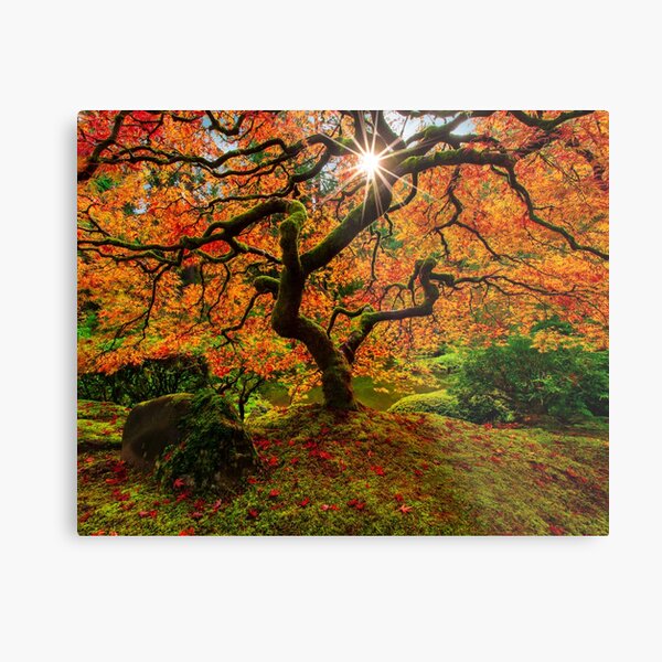Equinox Metal Print