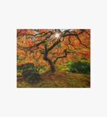 Equinox Art Board Print