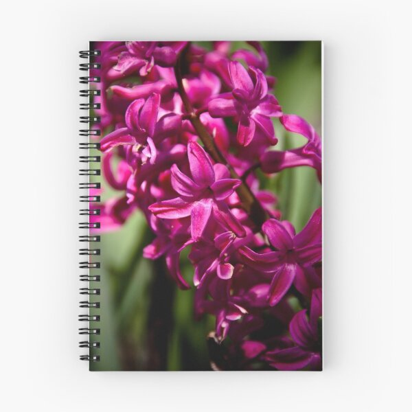 Item preview, Spring Blooms designed and sold by Brian Walter.