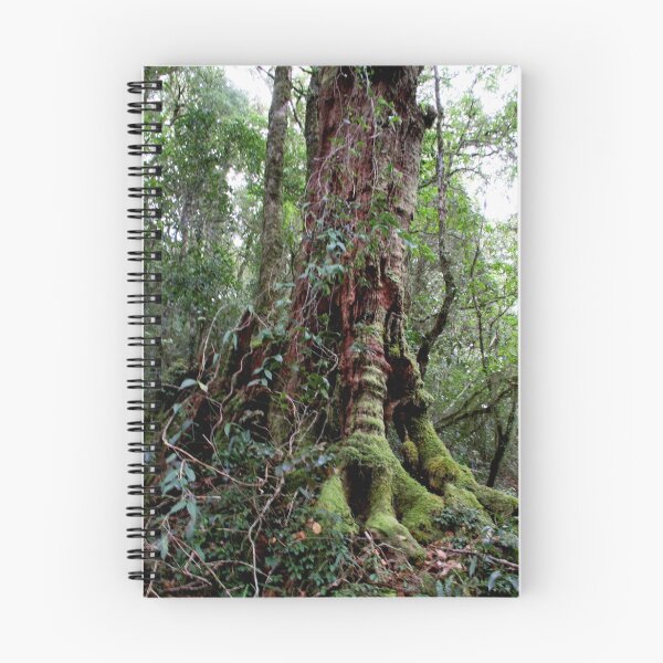 Item preview, Antarctic Beech Tree Toolona Creek Circuit designed and sold by smallan.