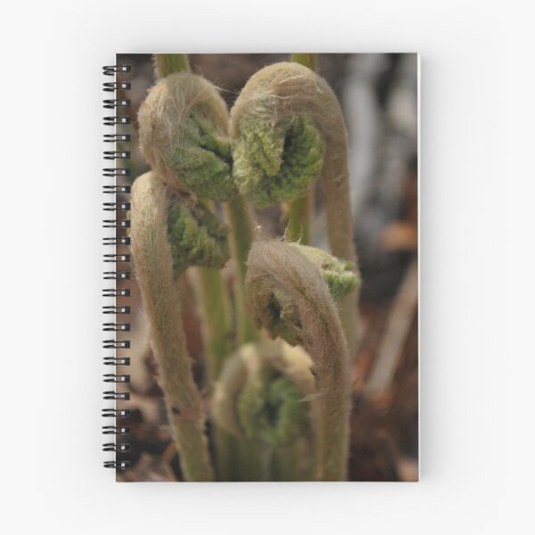 Item preview, Fiddle heads "ferns"  designed and sold by Jeff stroud.